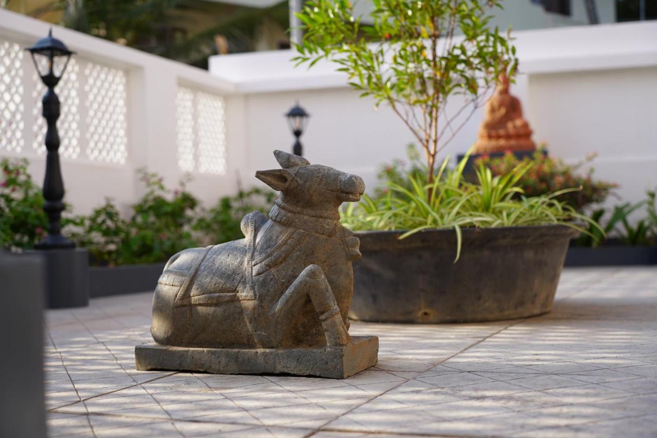 Buddha Beach Hotel Kovalam Zewnętrze zdjęcie