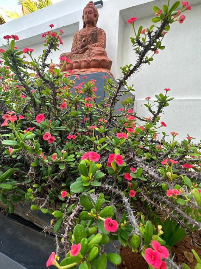 Buddha Beach Hotel Kovalam Zewnętrze zdjęcie
