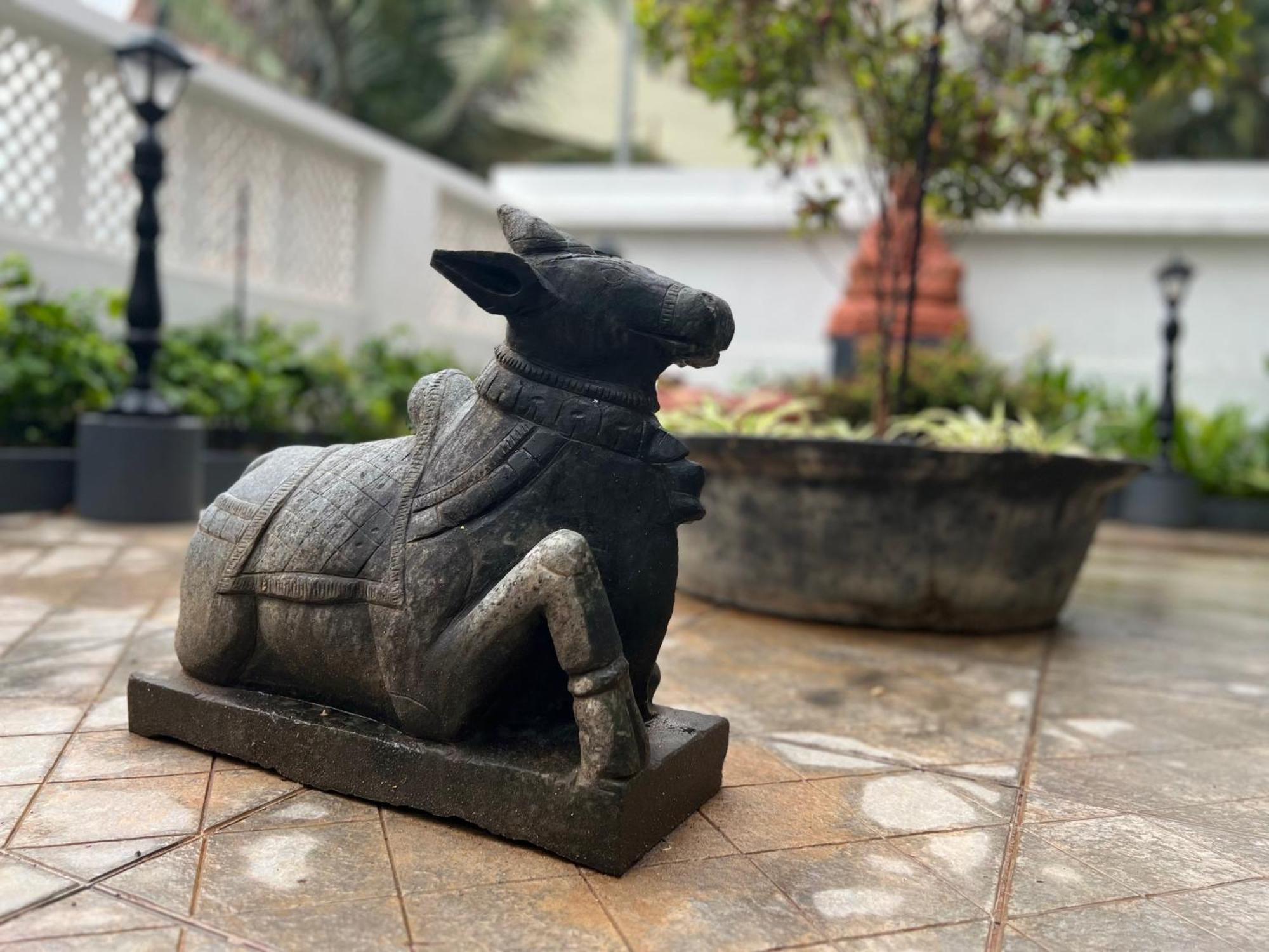 Buddha Beach Hotel Kovalam Zewnętrze zdjęcie