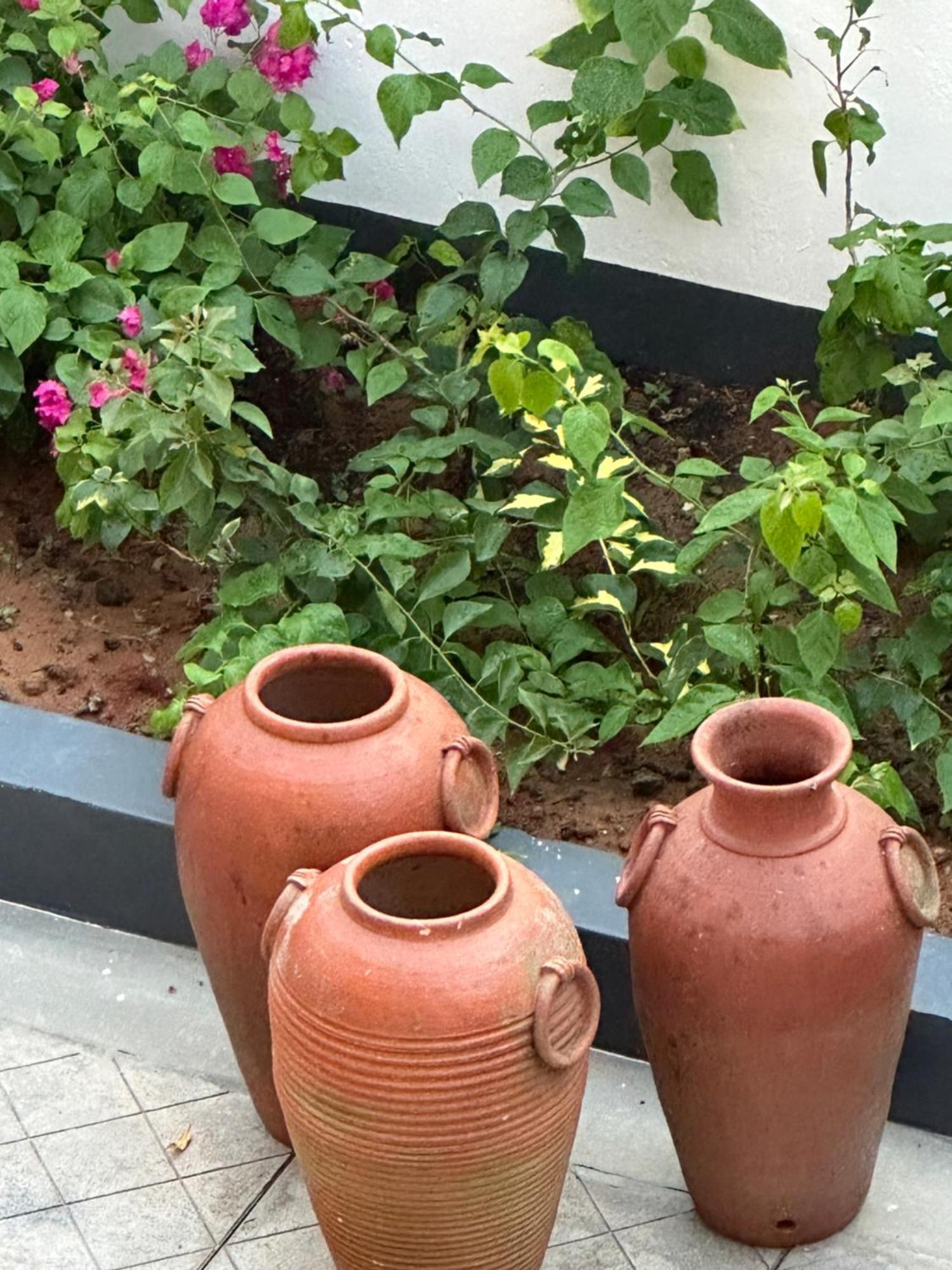 Buddha Beach Hotel Kovalam Zewnętrze zdjęcie